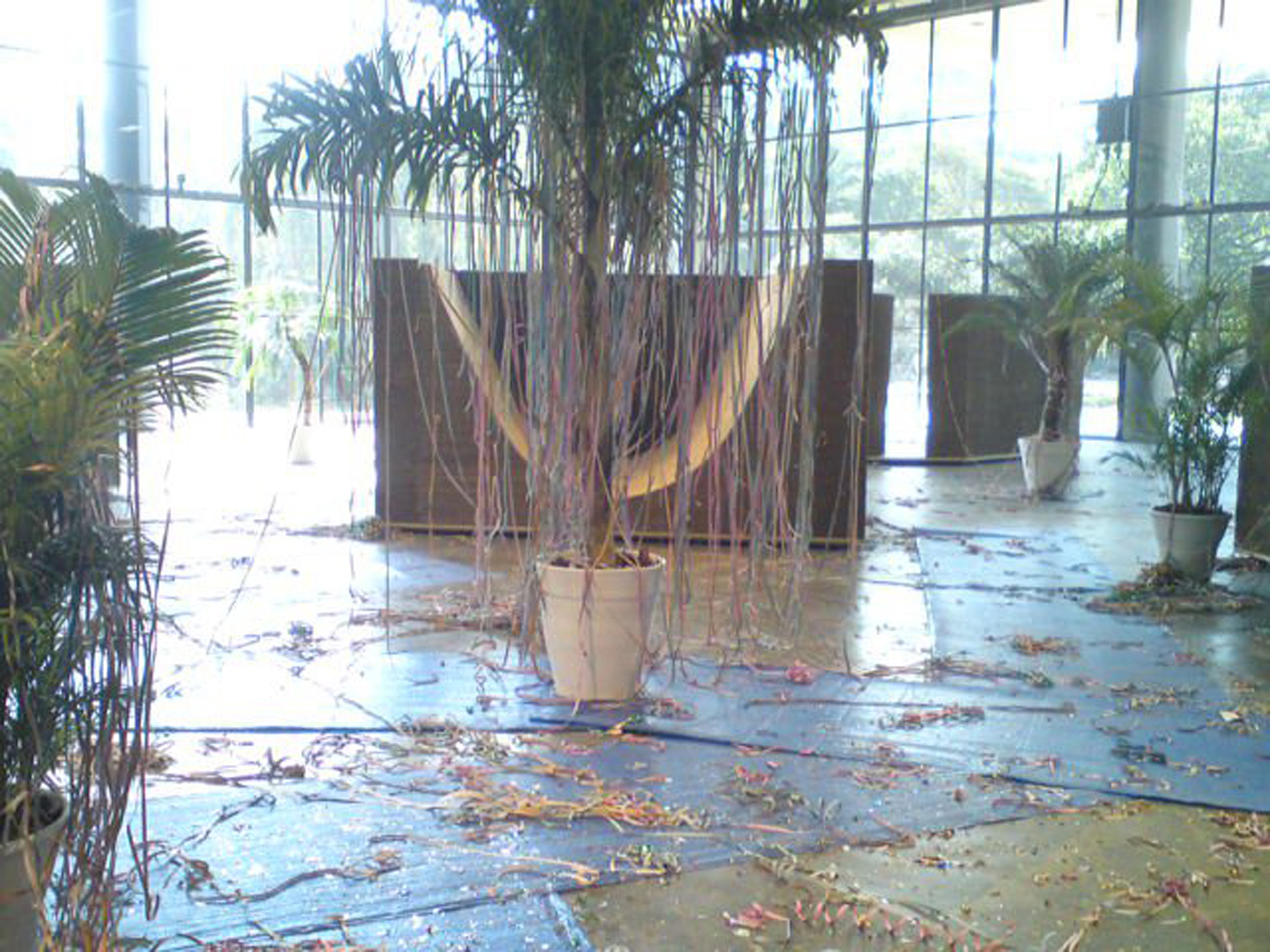  Batalha do Ibirapuera