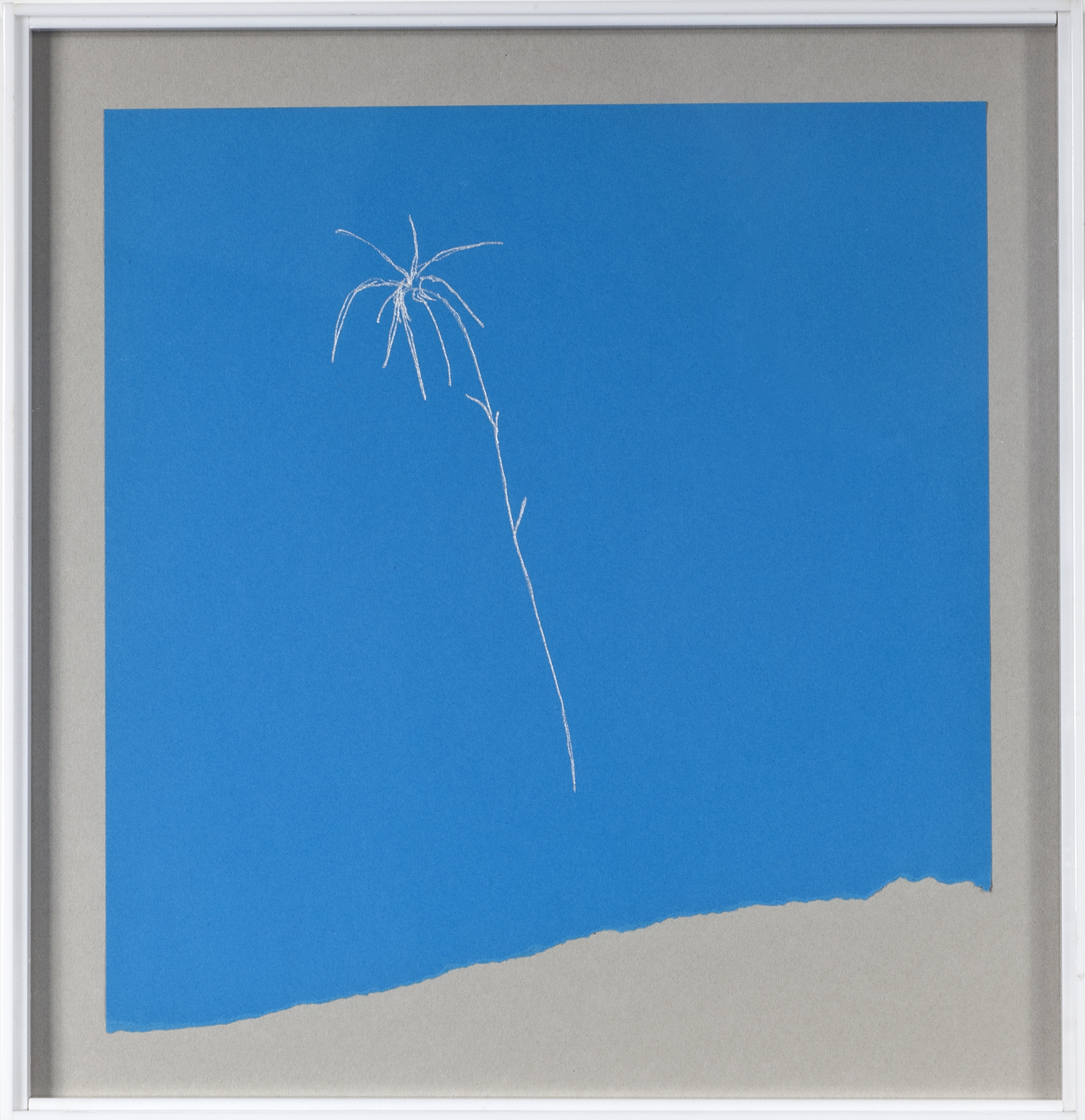 Phitoblue