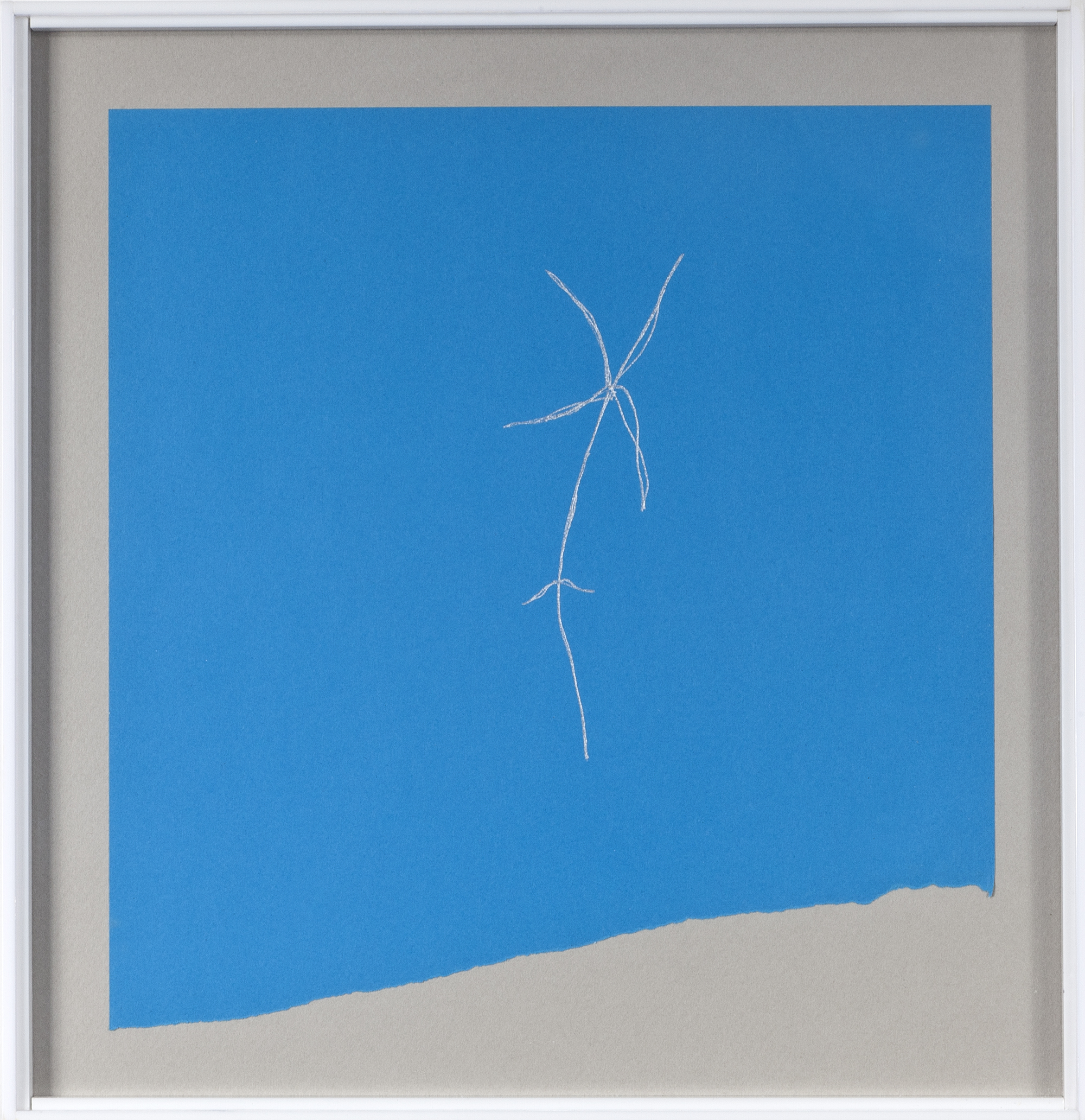 Phitoblue