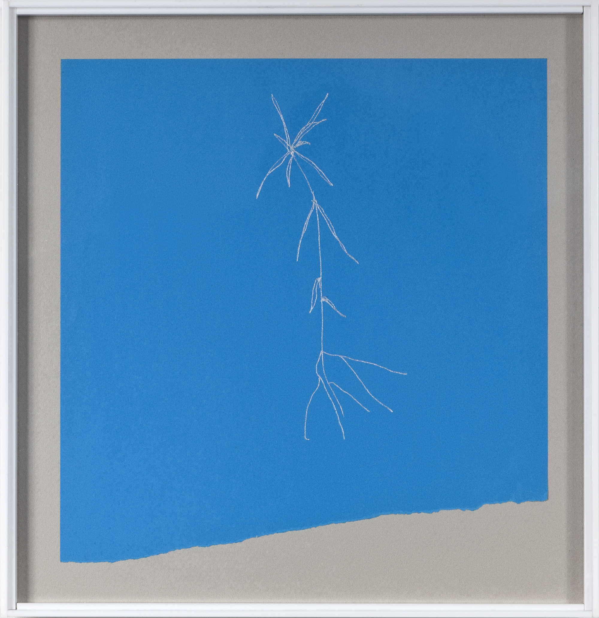 Phitoblue