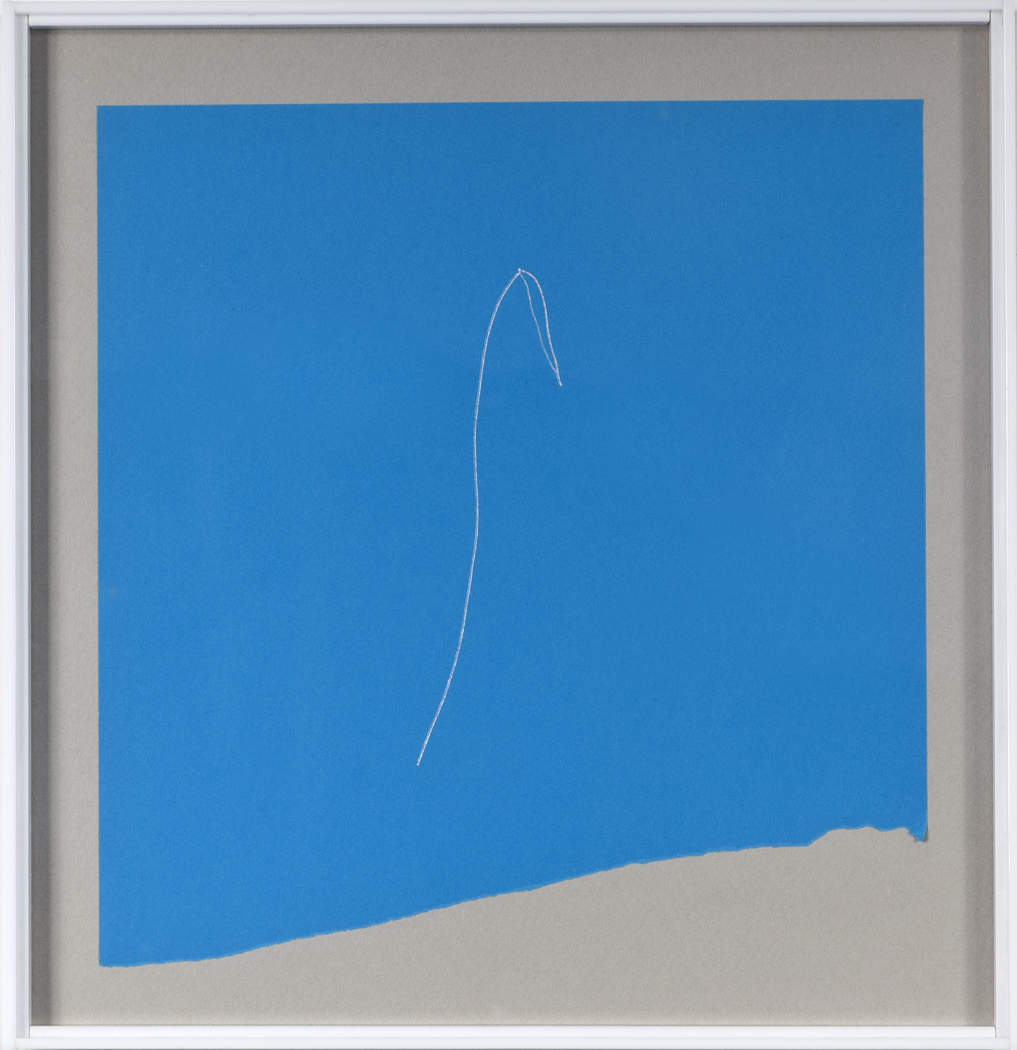 Phitoblue