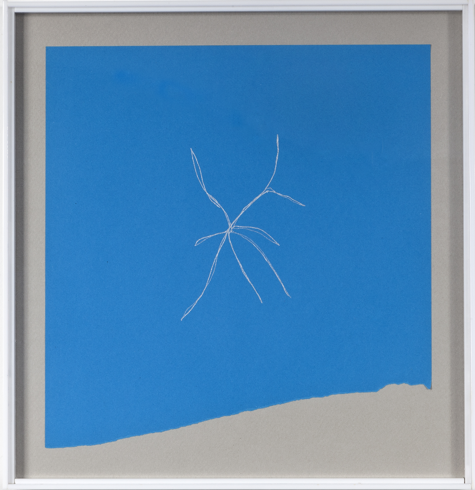 Phitoblue