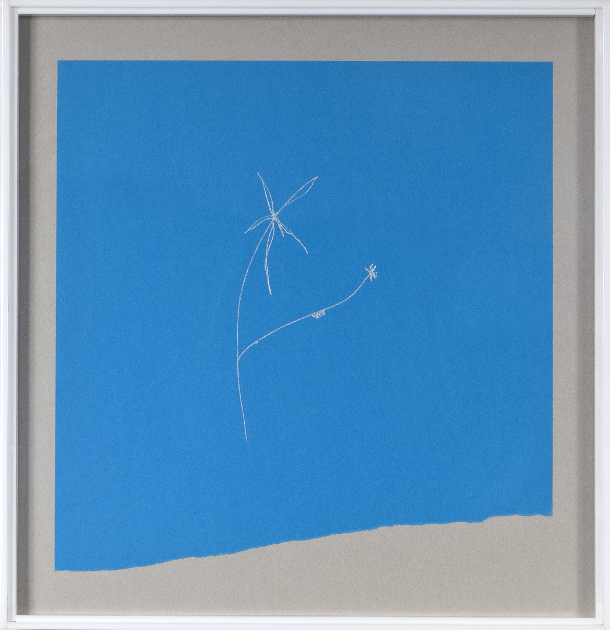 Phitoblue