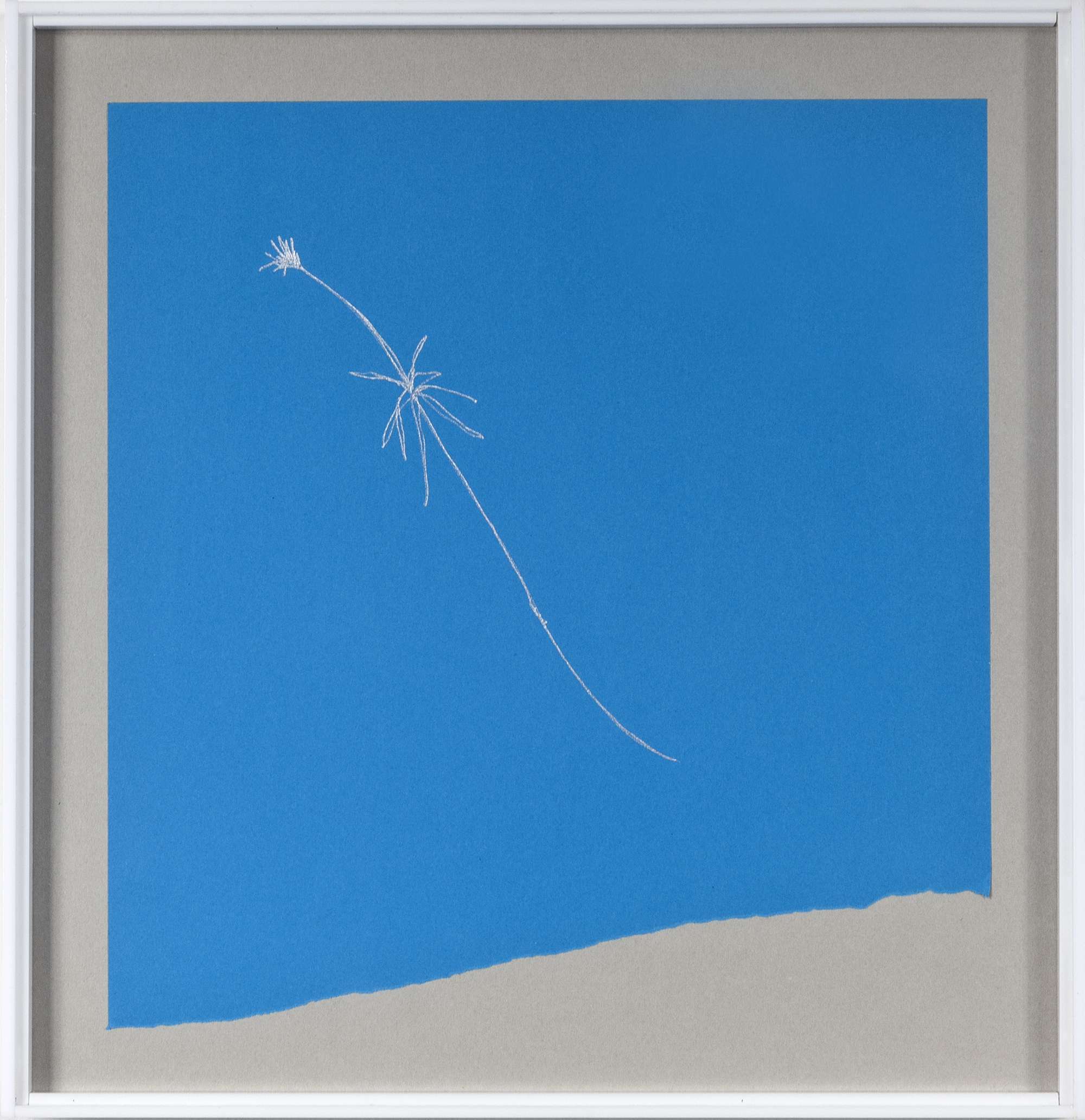 Phitoblue
