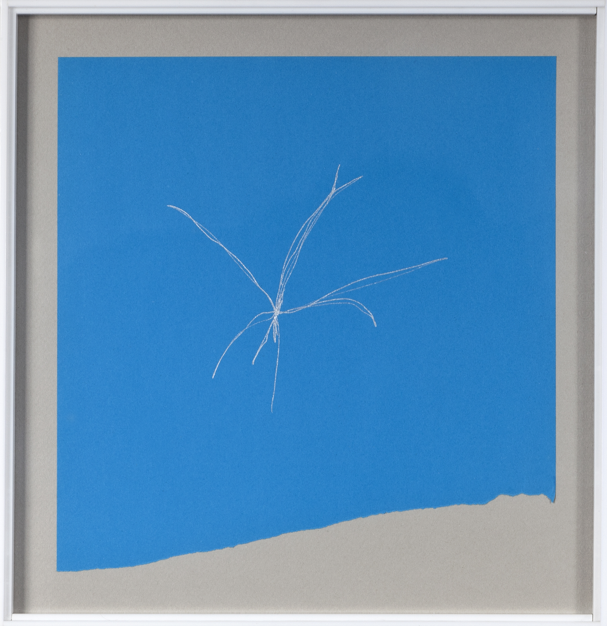 Phitoblue