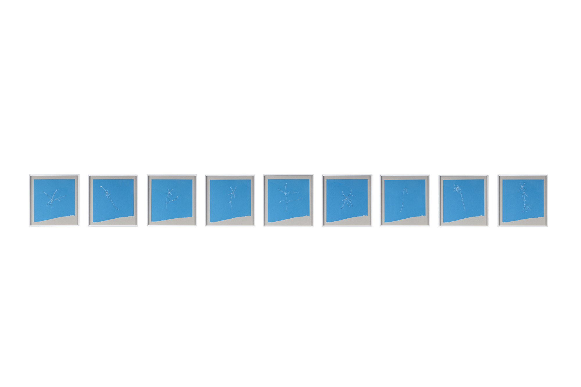 Phitoblue